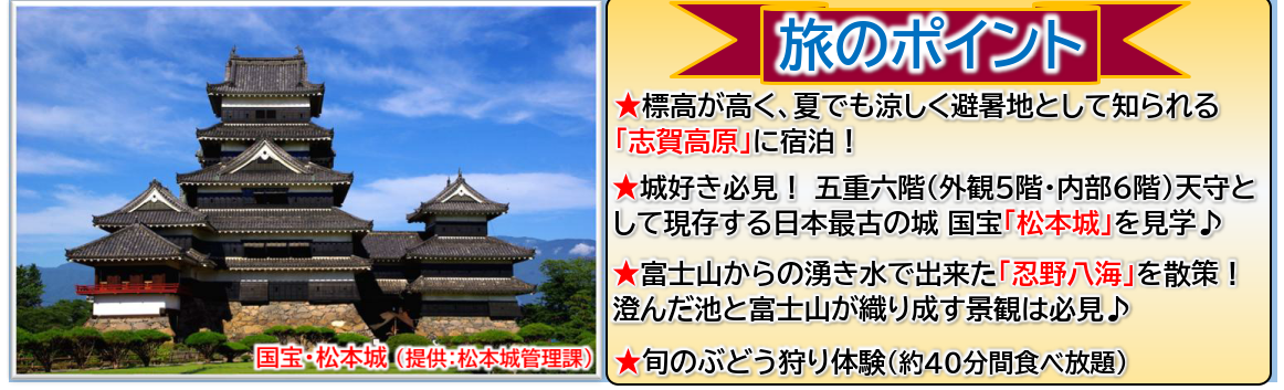 旅のポイント　【添乗員同行】志賀高原に泊まる信州の自然と旬を楽しむ３日間～善光寺参拝・大王わさび農場・ぶどう狩り～那覇空港発着　遊タイムツアー