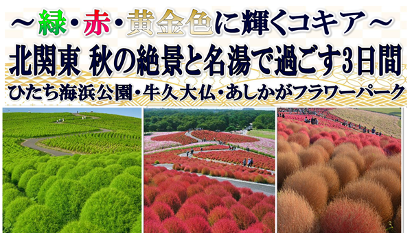 【添乗員同行】北関東　秋の絶景と名湯で過ごす３日間～緑・赤・黄金色に輝くコキア～　那覇発着【遊タイムツアー】
