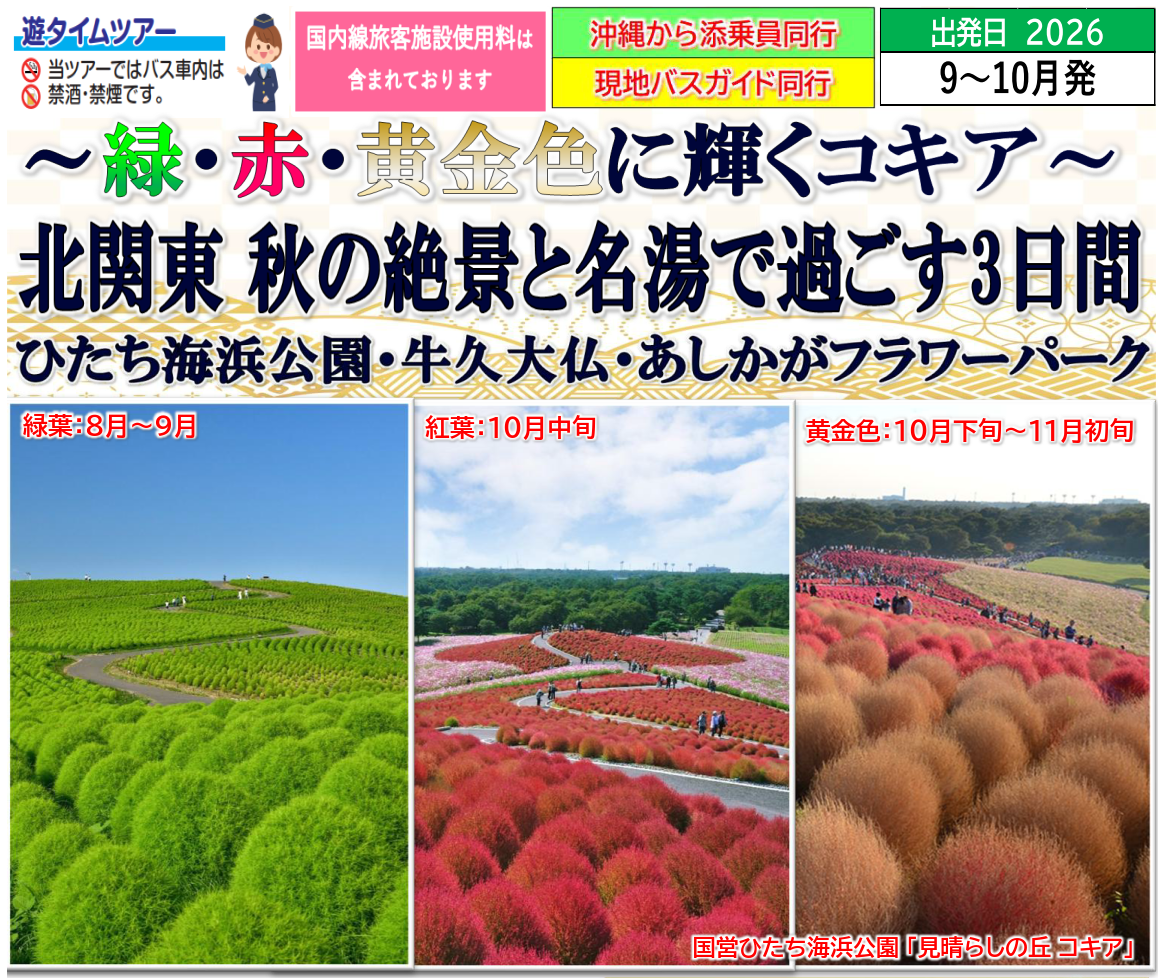 【添乗員同行】北関東 秋の絶景と名湯で過ごす3日間~緑・赤・黄金色に輝くコキア~ 那覇発着【遊タイムツアー】 【添乗員同行】北関東 秋の絶景と名湯で過ごす3日間~緑・赤・黄金色に輝くコキア~ 那覇発着【遊タイムツアー】