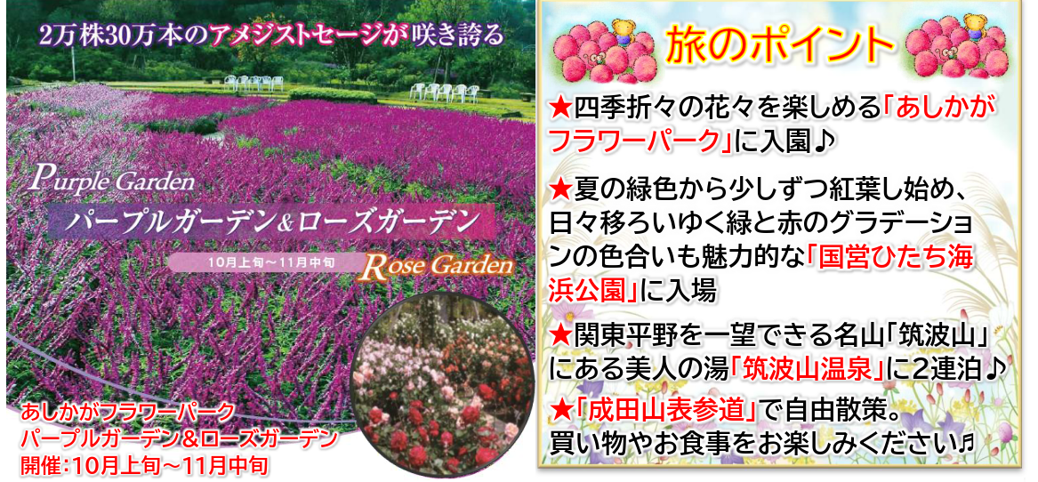 旅のポイント 【添乗員同行】北関東 秋の絶景と名湯で過ごす3日間~緑・赤・黄金色に輝くコキア~ 那覇発着【遊タイムツアー】 旅のポイント 【添乗員同行】北関東 秋の絶景と名湯で過ごす3日間~緑・赤・黄金色に輝くコキア~ 那覇発着【遊タイムツアー】