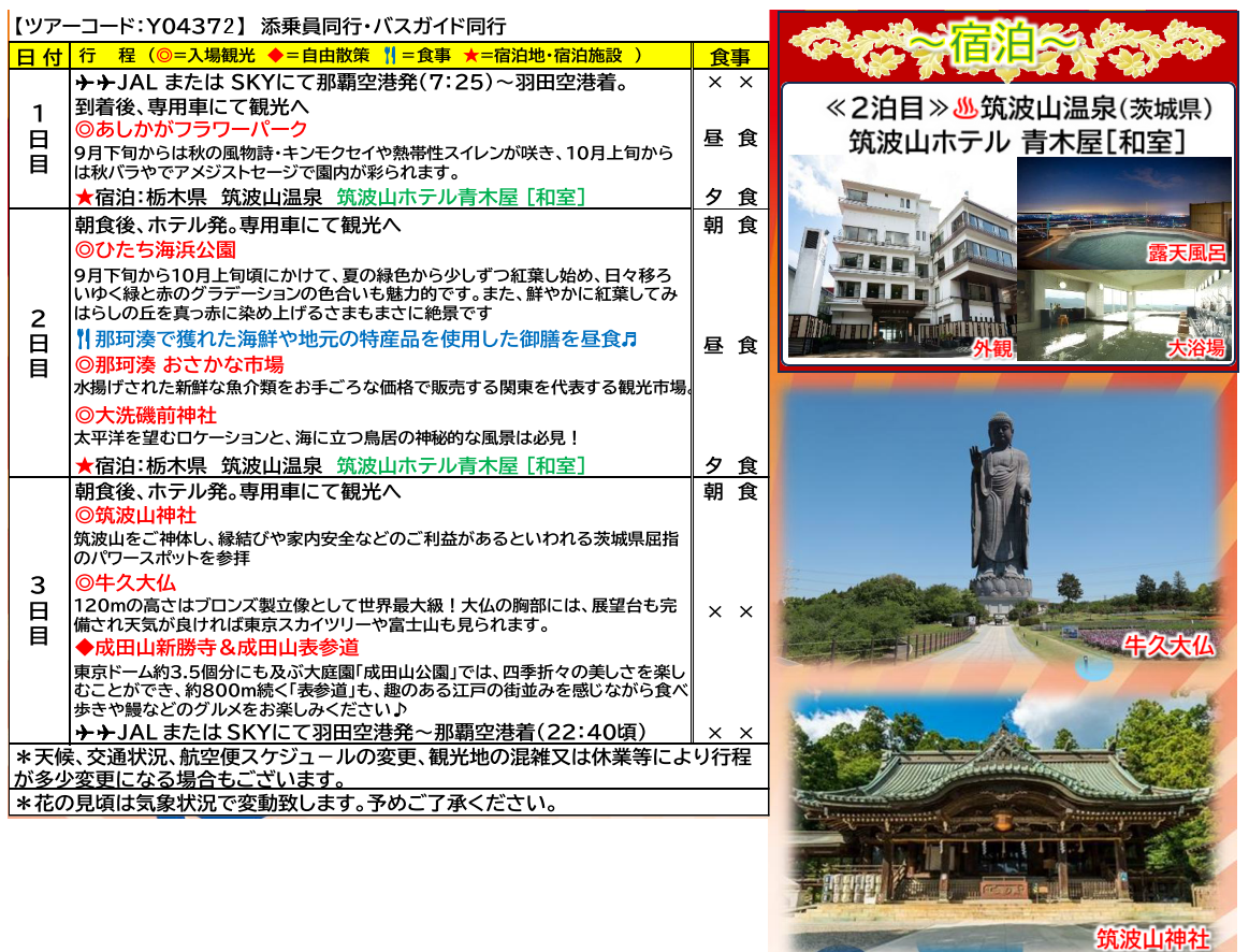 スケジュール 【添乗員同行】北関東 秋の絶景と名湯で過ごす3日間~緑・赤・黄金色に輝くコキア~ 那覇発着【遊タイムツアー】 スケジュール 【添乗員同行】北関東 秋の絶景と名湯で過ごす3日間~緑・赤・黄金色に輝くコキア~ 那覇発着【遊タイムツアー】